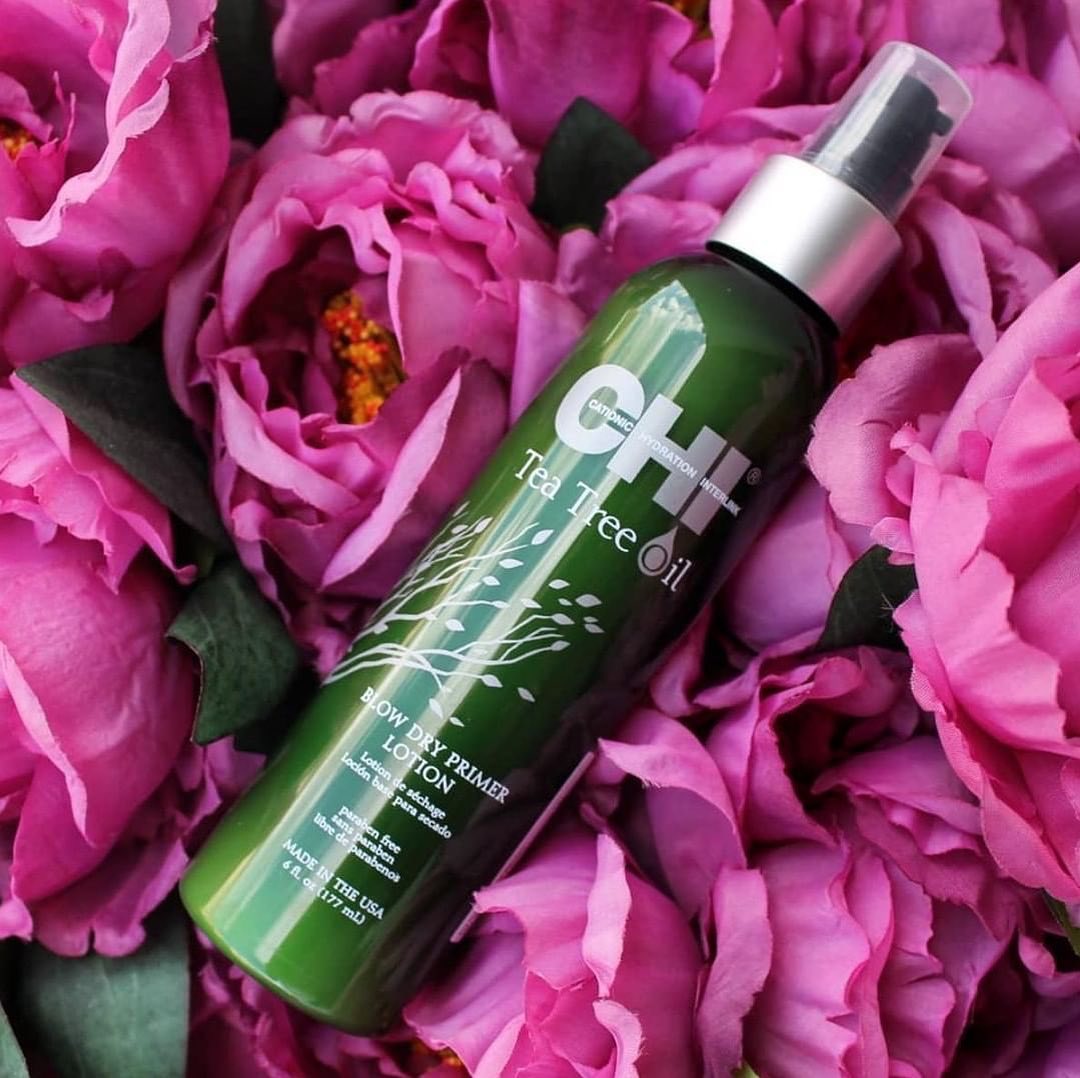 149054091_239203344467982_5054316803227629580_n