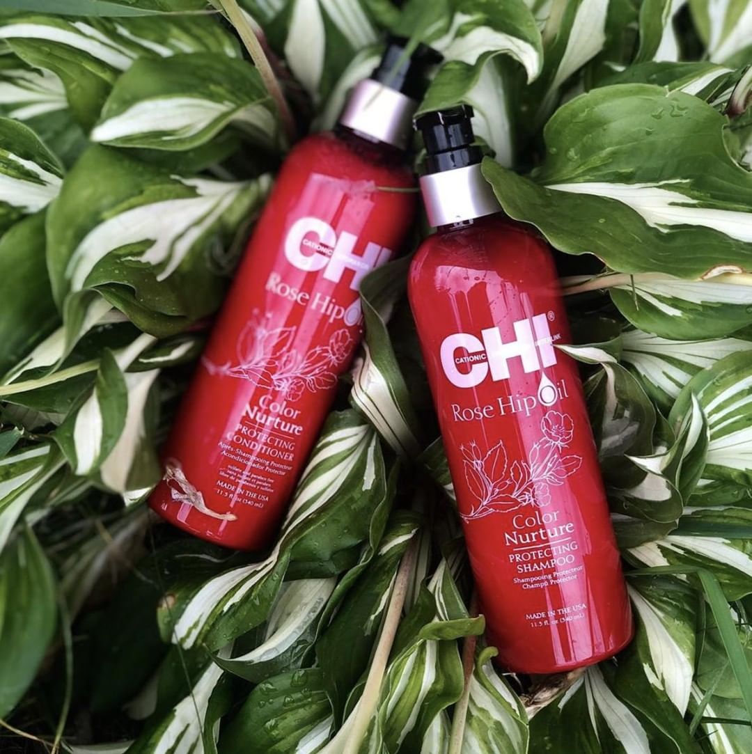 67559148_103067227643780_2598273904790501068_n